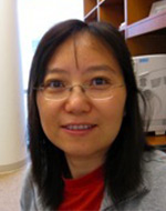 Jau-Nian Chen, Ph.D.